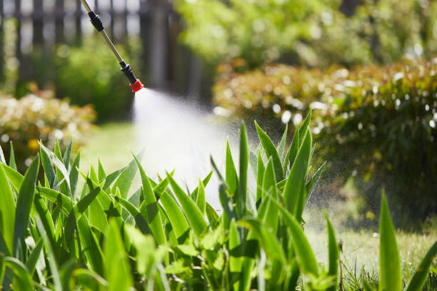 Tamper-Resistant Bait Stations for Rodents in Peach Lake