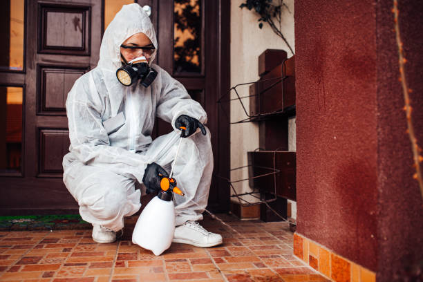 Attic and Crawl Space Rodent Treatment in Peach Lake