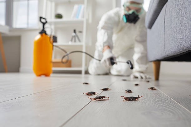 Commercial Rodent Management in Peach Lake